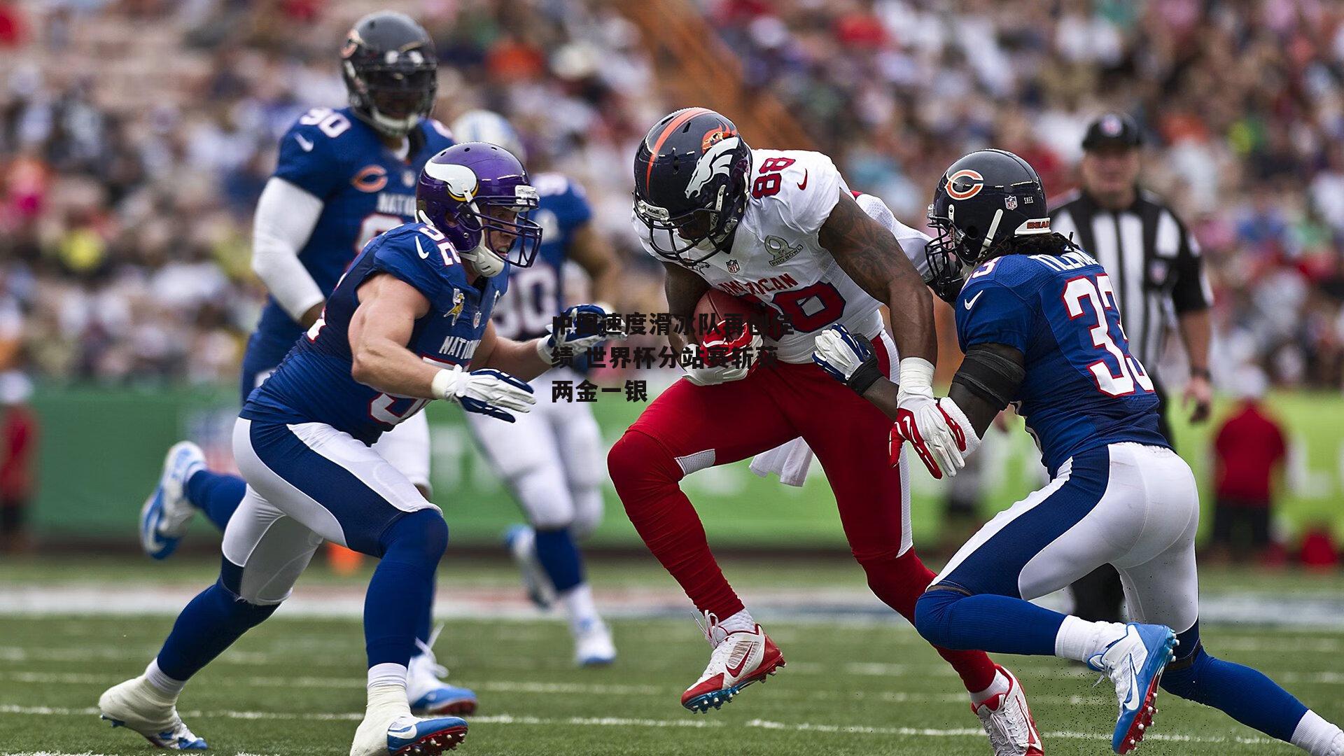 中国速度滑冰队再创佳绩 世界杯分站赛斩获两金一银